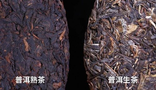 老年人喝普洱茶好吗