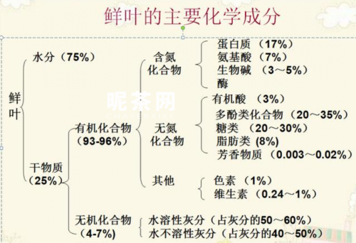 一斤茶叶需要多少鲜茶