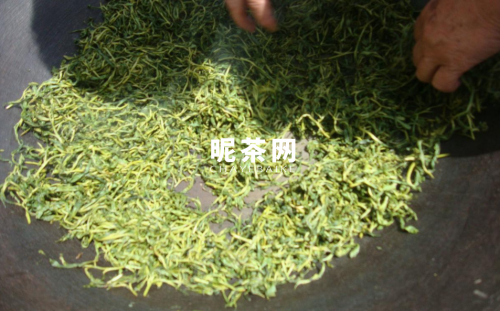 一斤茶叶需要多少鲜茶