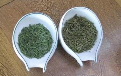 新茶和陈茶的区别主要看什么