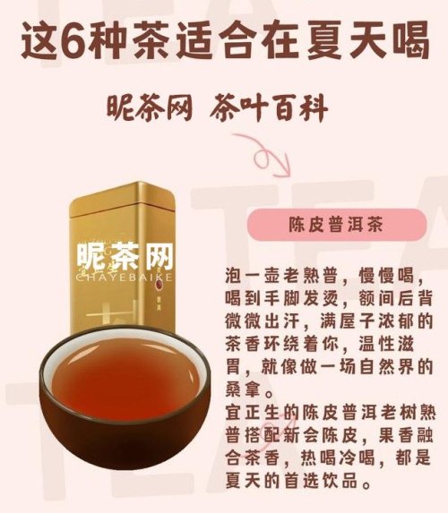 男人夏天适合喝什么茶