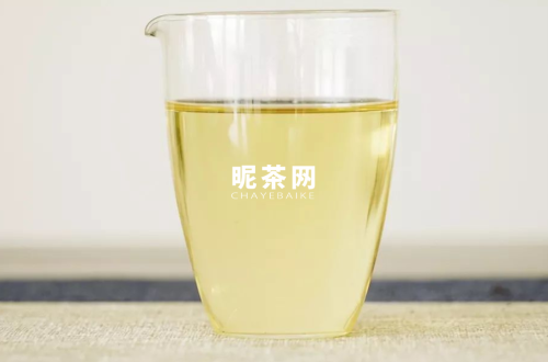 白牡丹茶汤