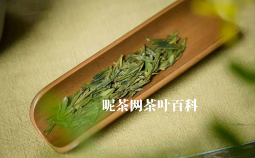 绿茶一天喝多少合适