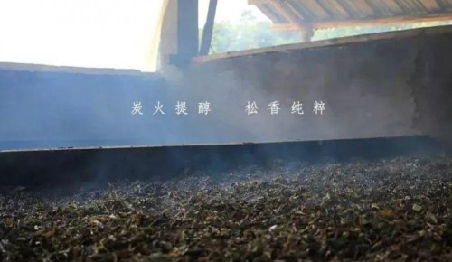 各类茶叶的制作工艺