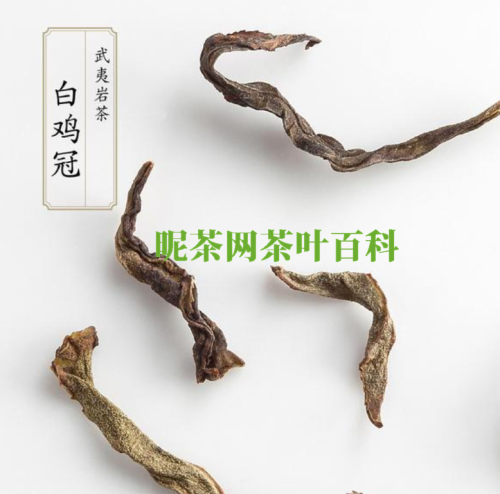 武夷岩茶四大名枞