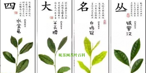 武夷岩茶四大名枞