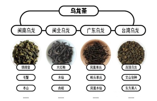 青茶和绿茶的区别