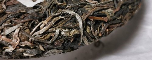 怎么判断是不是曼松古树茶