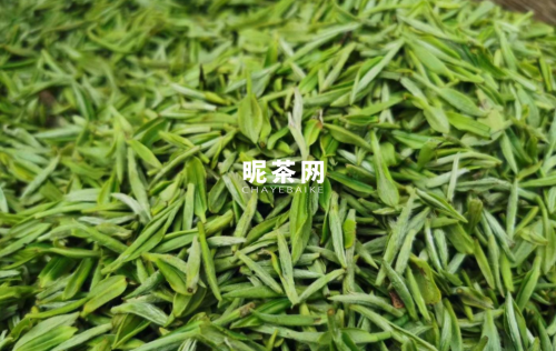 信阳毛尖明前茶和雨前茶的区别