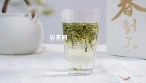 新鲜茶叶可以泡茶喝吗