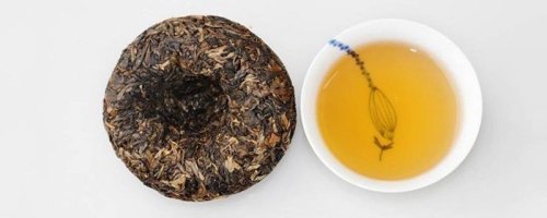 云南沱茶属于什么茶