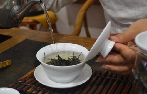 云南沱茶属于什么茶