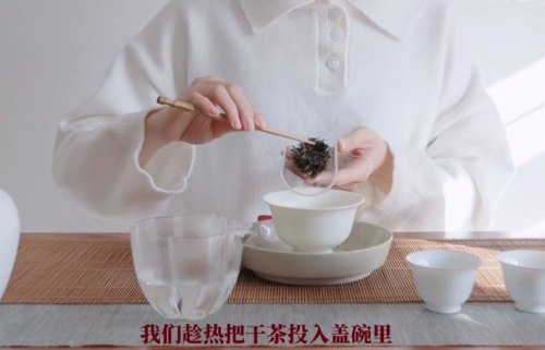 （用茶则投茶，不要直接用水）