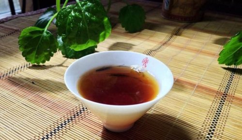 什么是熟普洱茶