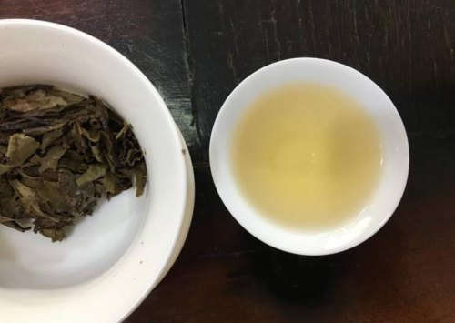 福鼎白茶茶汤