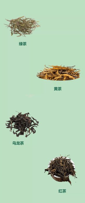 茶叶科普，茶垢是如何产生的