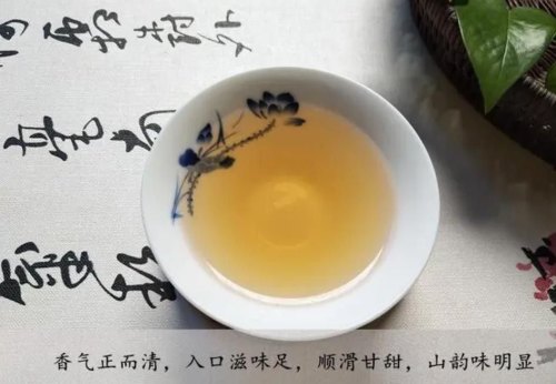 蜜香单丛茶属于什么茶