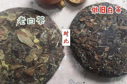 如何辨别做旧老白茶，学会这几点秒变高手