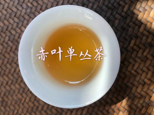 赤叶单丛是什么茶