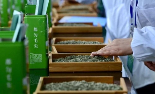 贵州都有哪些茶叶 贵州十大名茶一览