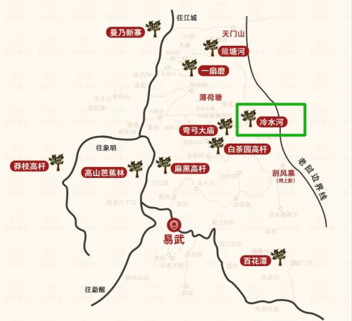 冷水河普洱茶的特点