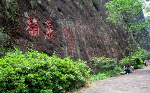 九龙窠肉桂产地