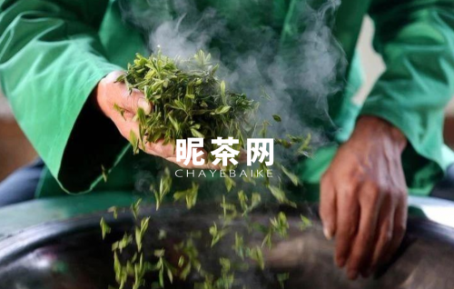 鲜茶叶杀青需要掌握的要点有哪些