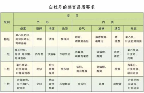 白牡丹的等级和特点