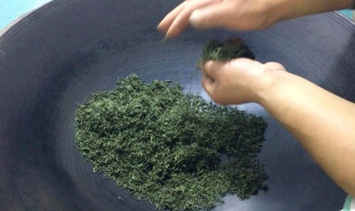 鲜茶叶杀青需要掌握的要点有哪些