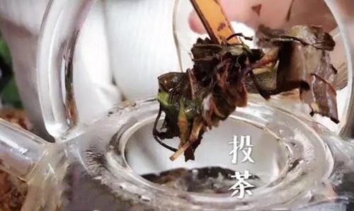 白茶需要煮多久为佳