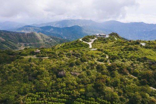 北回归线上的“茶中香水”，从“出生”就赢在了起跑线上