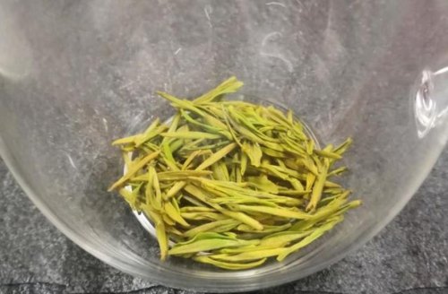 黄金茶属于什么茶