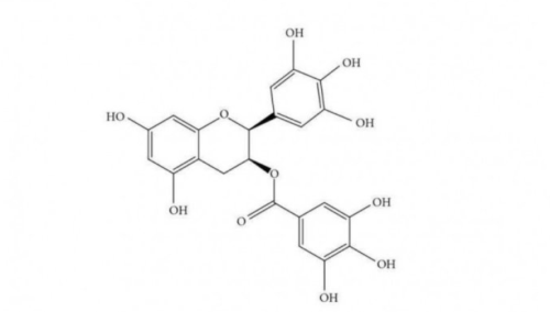 茶多酚是什么 茶多酚有哪些作用