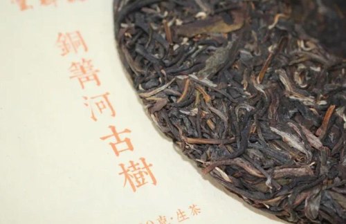 龙潭箐普洱茶介绍