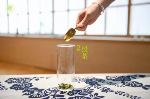 绿茶的三种泡法，爱喝绿茶的人必备技巧