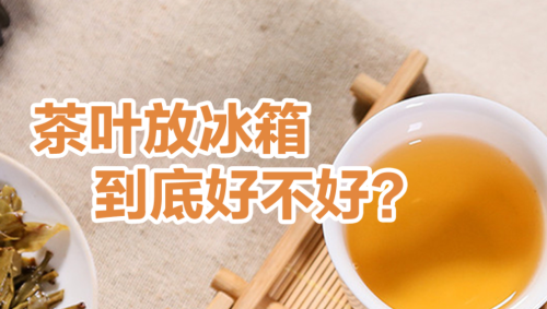 茶叶放冰箱到底好不好 存茶需要注意哪些