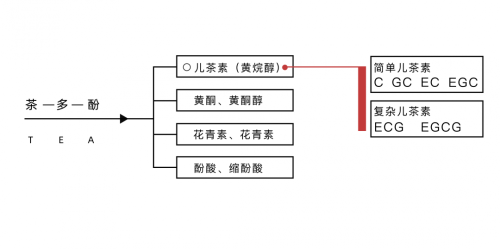 茶多酚是什么 茶多酚都有哪些作用