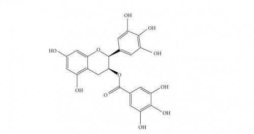茶多酚是什么 茶多酚都有哪些作用