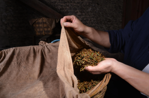 工夫红茶的由来 工夫红茶还是功夫红茶