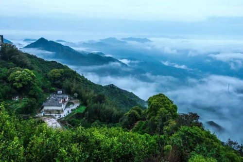 入门必学！中国现代四大茶区，历史名茶大多出哪里