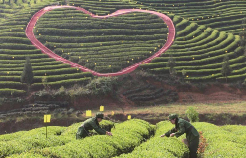 十大不可错过的茶旅胜地，你去过几个