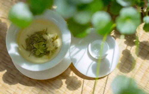 花茶是老花茶还是新花茶好