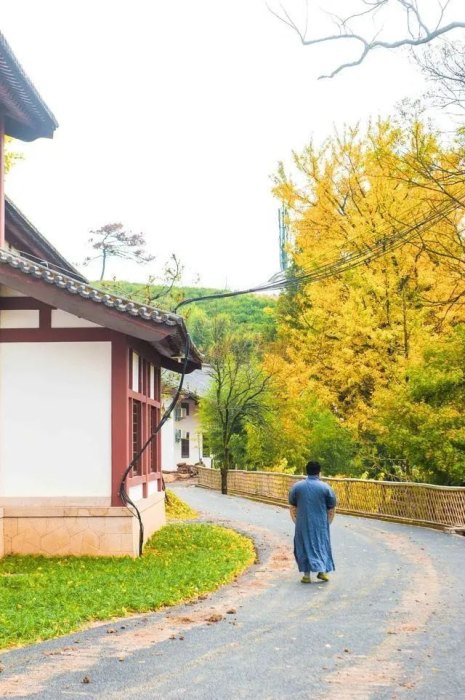 杭州径山寺：日本茶道的发源地