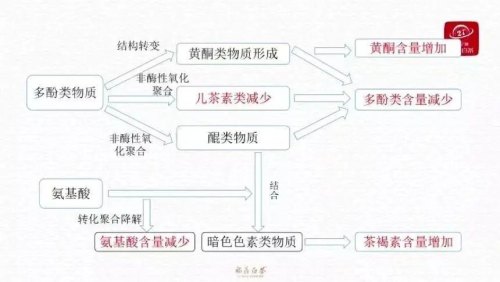 白茶的储存方法 存放白茶这几点必须重视