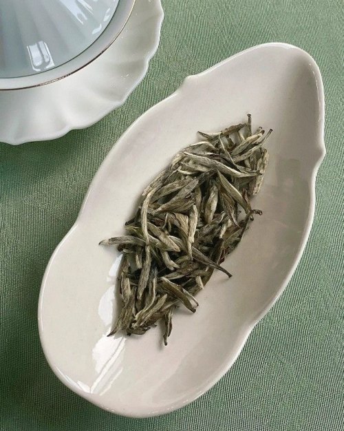 白毫银针多少度水泡茶好