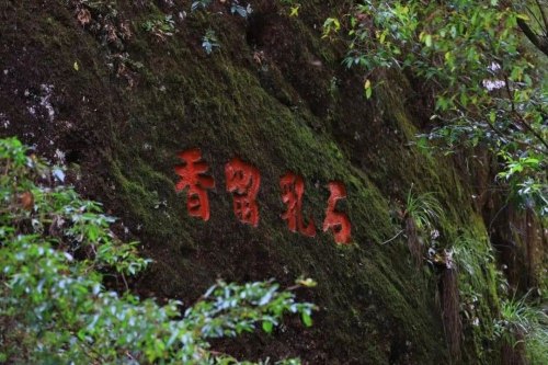 这份武夷岩茶的简介，建议收藏！