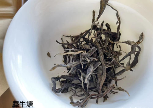 犀牛塘普洱茶口感特点