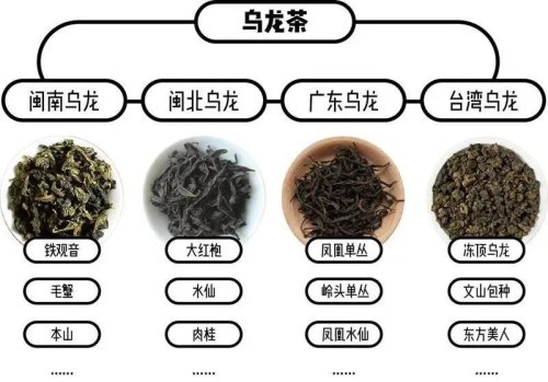 茶叶怎么命名的？六大茶类怎么来的？茶叶的分类逻辑是什么？