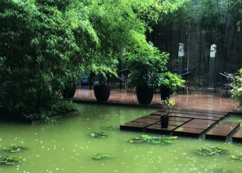 下雨天喝茶，为什么感觉不香了