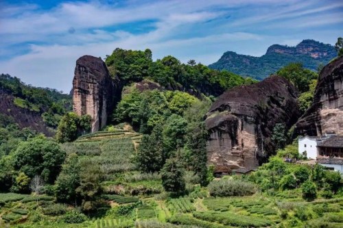 岩茶中的“坑、涧、窠、窝、洞、峰、岩”都代表了什么